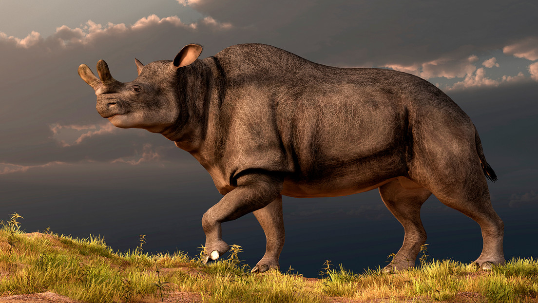 Revelan por qué algunos animales se convirtieron en gigantes tras la extinción de los dinosaurios