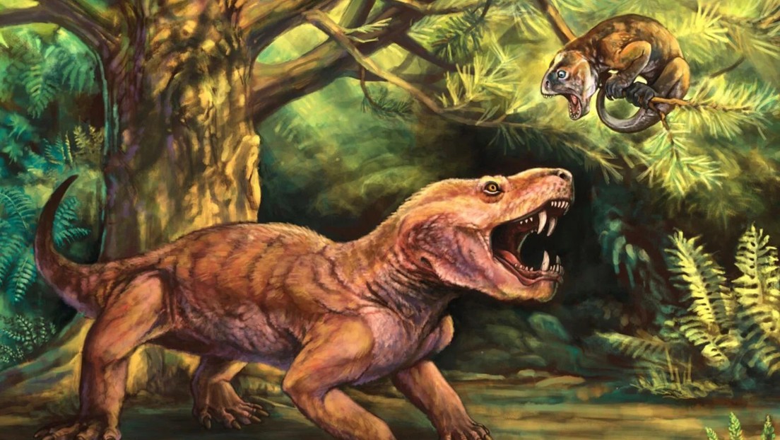 El primer depredador con dientes de sable se trasladó de Rusia a Sudáfrica hace 252 millones de años
