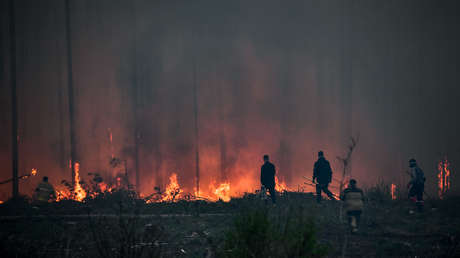 VIDEO: Fuertes incendios devoran hectáreas de bosque provocando el estado de emergencia en una región rusa
