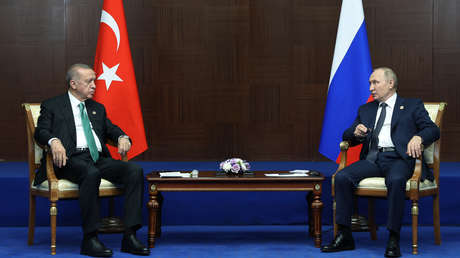 Erdogan elogia la "relación especial" con Putin