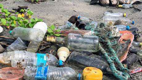 El reciclaje aumenta la toxicidad de los plásticos y amenaza la salud humana, advierte Greenpeace