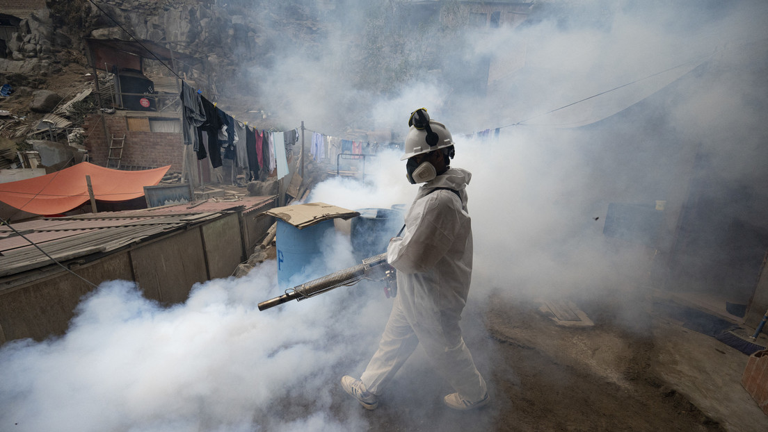 Paro, desabastecimiento y pedido de renuncia de ministra de Salud: epidemia de dengue golpea Perú