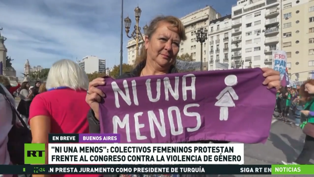 "Ni una menos": colectivos femeninos argentinos protestan frente al Congreso contra la violencia de género