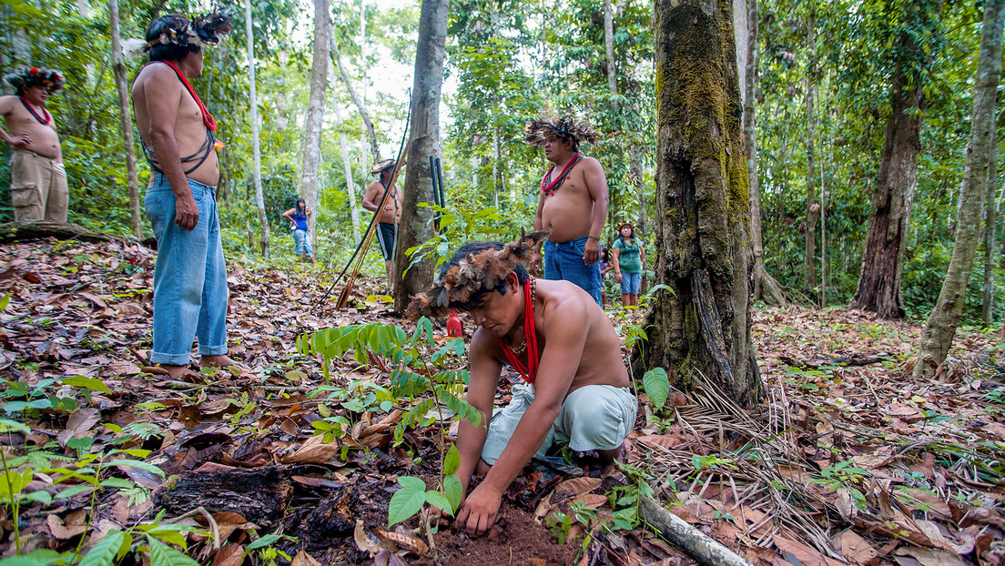 Lula lanzará un programa social para la conservación de la Amazonía: ¿en qué consiste?