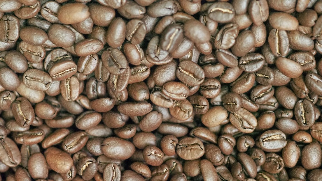 El precio del café robusta se dispara a su nivel máximo desde 2008