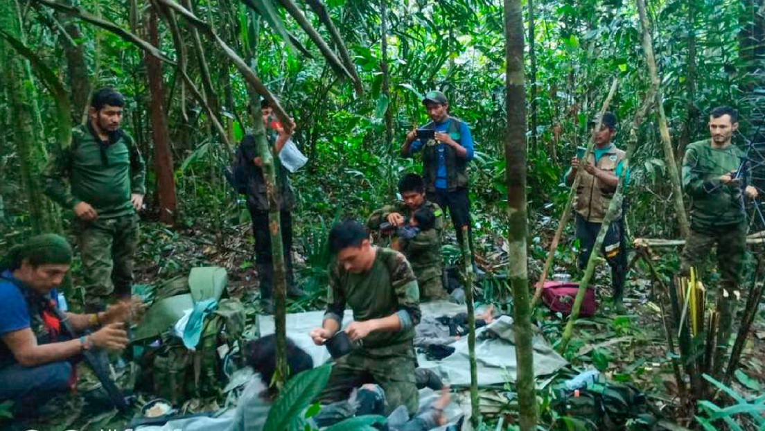 Muestran la "telaraña" formada en la selva de Colombia que ayudó a encontrar a los 4 niños desaparecidos