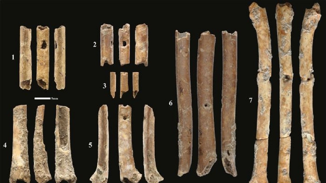 Hallan en Israel flautas de 12.000 años talladas en hueso que imitan el sonido de ciertas aves