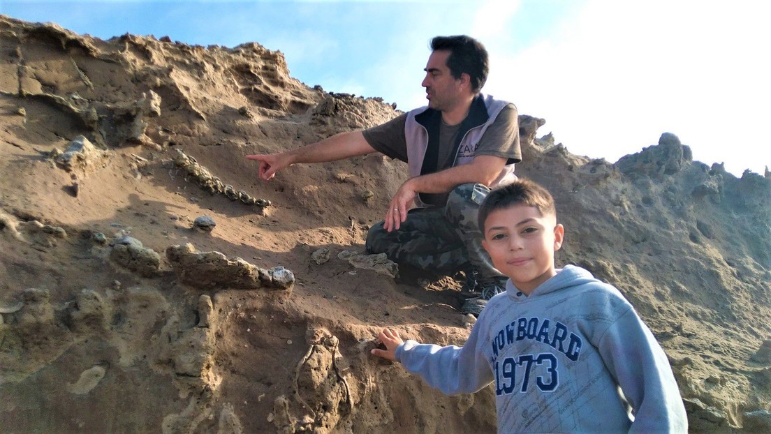 Un niño de ocho años descubre en Argentina restos fósiles de 100.000 años de antigüedad