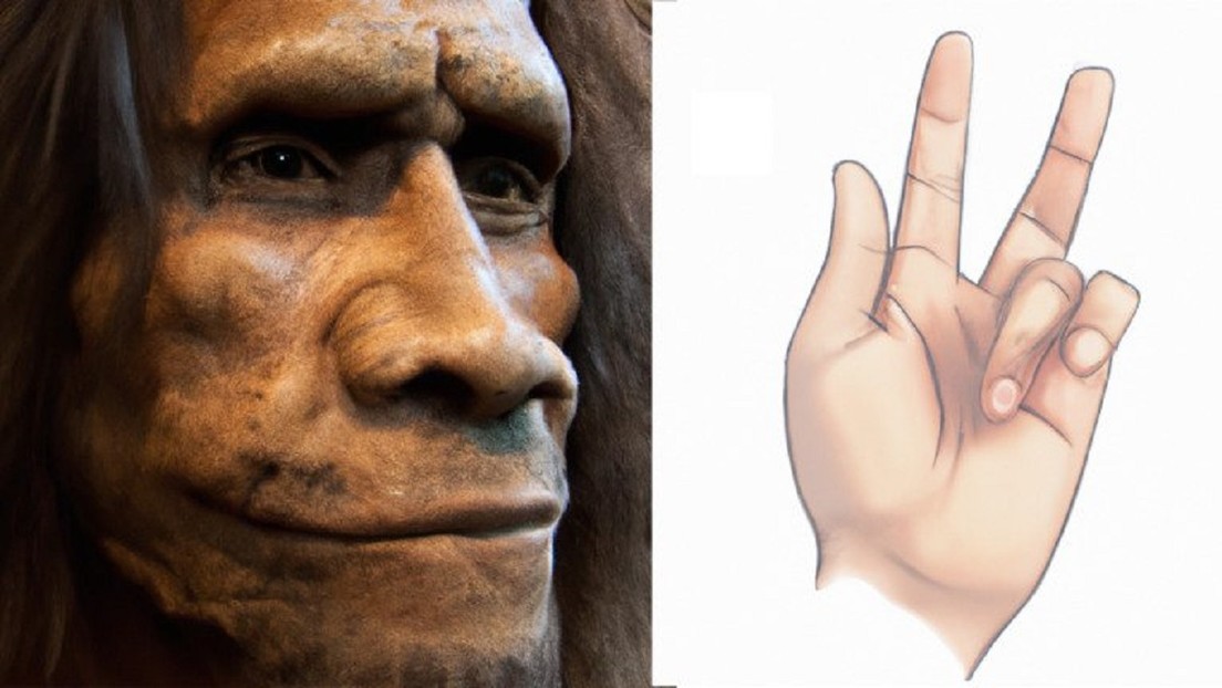 Herencia neandertal: estudios genéticos descubren el origen de la 'enfermedad del vikingo'