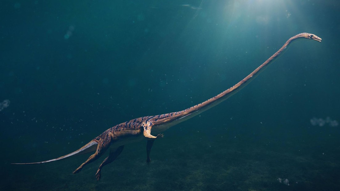 Confirman cuál era el 'talón de Aquiles' de los reptiles marinos prehistóricos