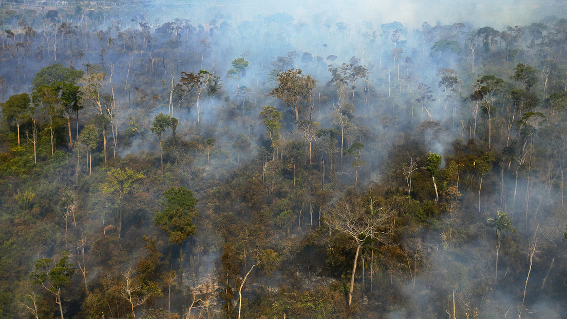 "Podría ser muy pronto": Un estudio alerta de que nuestra generación podría afrontar un colapso medioambiental