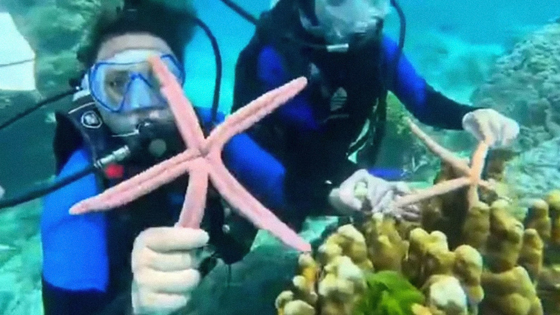 Turistas se enfrentan a prisión por tocar estrellas de mar y pisar arrecifes de coral en Tailandia