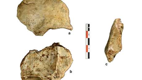 Descubren que los humanos llegaron al sudeste asiático decenas de miles de años antes de lo que se creía
