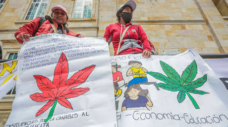 El Senado de Colombia rechaza la legalización del cannabis para uso recreativo