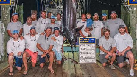 Un equipo de pesca pierde un premio de 3,5 millones de dólares por culpa de un tiburón