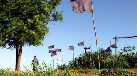 El Gobierno de Paraguay cede tierras a comunidades campesinas donde ocurrió la masacre de Curuguaty
