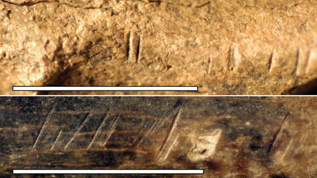 Marcas en un hueso sugieren que un homínido cercano a los humanos pudo haber practicado canibalismo