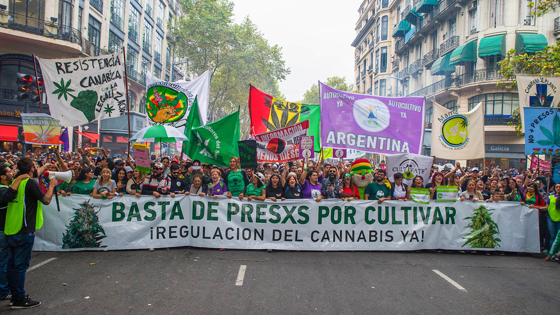 Negocio millonario y detenidos por consumo: la paradoja de la regulación de marihuana en Argentina