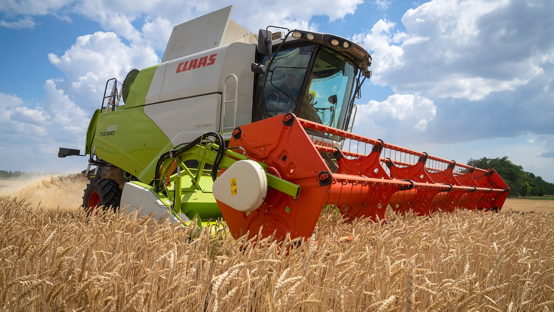 Agricultores de Austria llaman a suministrar el grano ucraniano a África y Oriente Medio y no a la UE