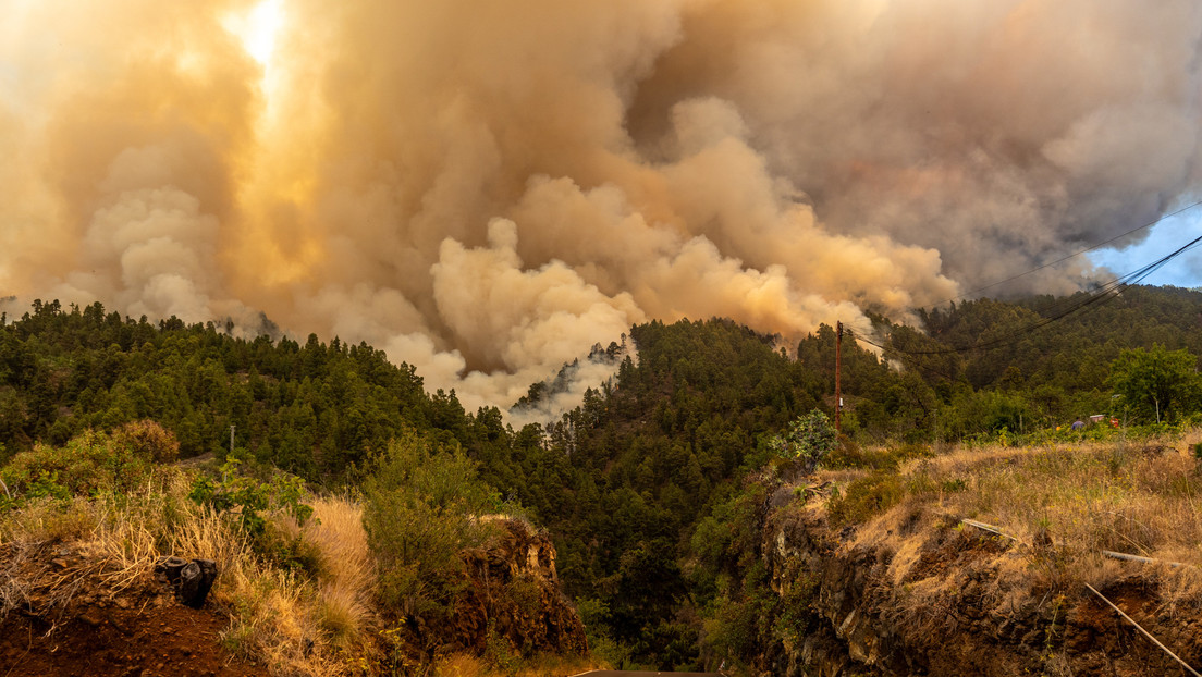 VIDEO: Incendios forestales afectan a más de 4.500 hectáreas en una isla de España