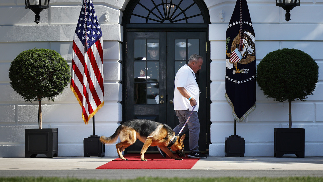 La Casa Blanca explica la razón detrás de los ataques del perro de Biden a miembros del Servicio Secreto