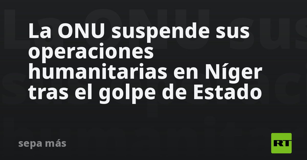 La ONU suspende sus operaciones humanitarias en Níger tras el golpe de ...