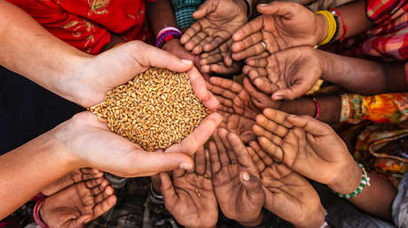ONU: 80 millones de personas más podrían sufrir hambruna a mediados de este siglo por el cambio climático