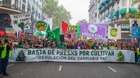 Negocio millonario y detenidos por consumo: la paradoja de la regulación de marihuana en Argentina