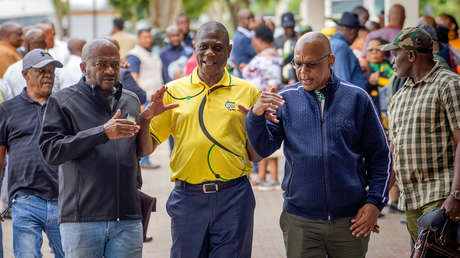 Investigan a guardias del vicepresidente de Sudáfrica por atacar a civiles desarmados (VIDEO)