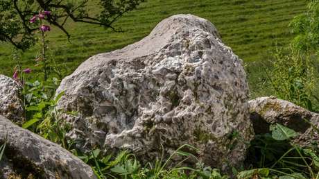 Hallan intacta una roca utilizada para afilar hachas hace 5.000 años