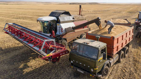 Rusia abordará el suministro de granos directamente con África: "Son los que menos recibieron del acuerdo"