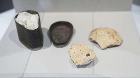 Devuelven a Viena fragmentos de un cráneo que pertenecería a Beethoven