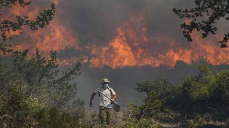 Ola de calor sin precedentes: incendios forestales azotan 4 continentes (FOTOS)