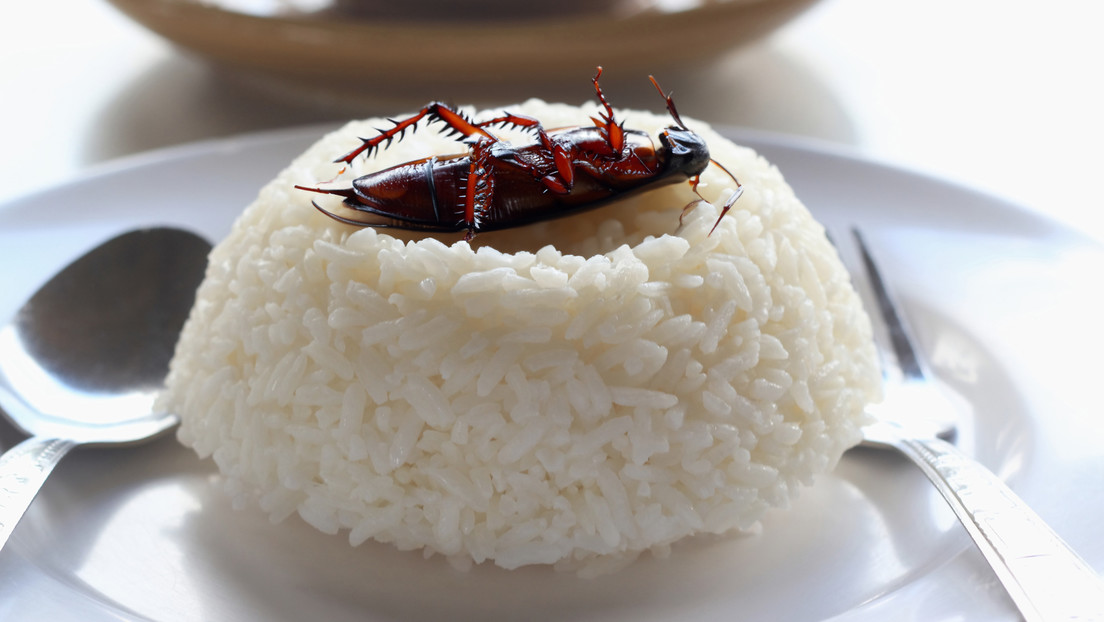 Una cucaracha hunde las acciones de un productor de bolas de arroz en Japón