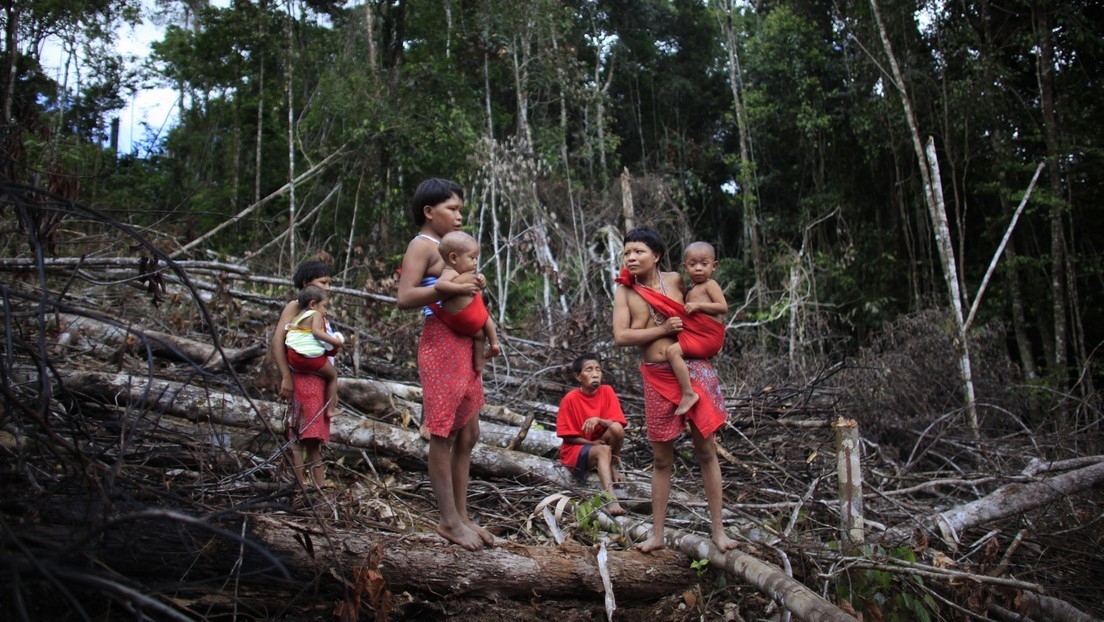 ¿Estrategia común o esfuerzos aislados? La Cumbre Amazónica en Brasil genera gran expectativa