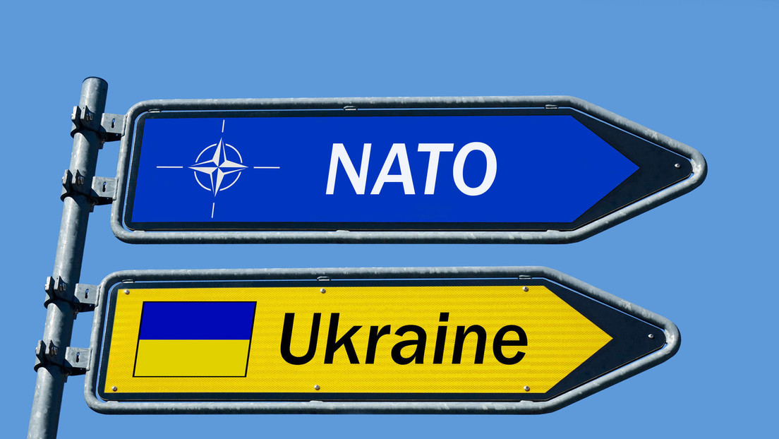 Alto funcionario de la OTAN: Ucrania podría unirse a la alianza si cede algunos territorios a Rusia