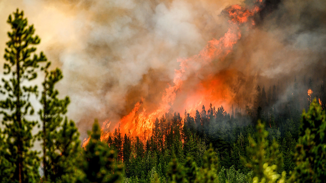 Miles de personas son evacuadas por incendios forestales en Canadá (VIDEOS, FOTOS)