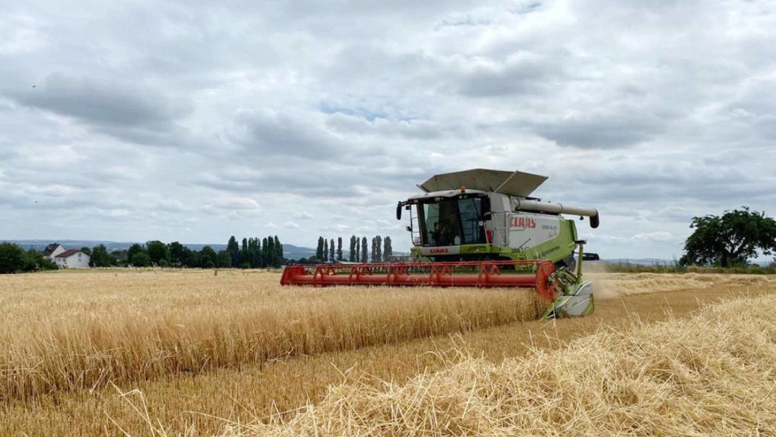 La UE podría sancionar a Polonia por su negativa a dejar ingresar grano ucraniano
