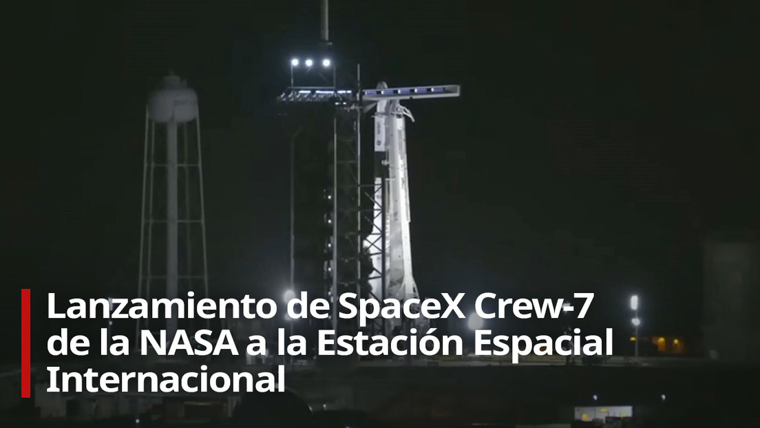 VIDEO: Despega la nave Crew Dragon de SpaceX rumbo a la EEI con 4 astronautas