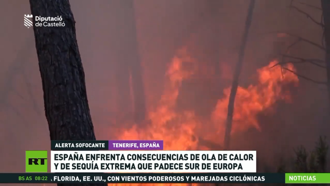 España afronta las consecuencias de la ola de calor y de la sequía que azota el sur de Europa