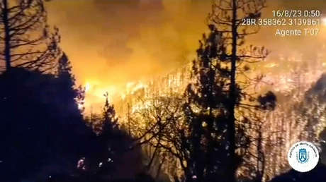El incendio en la isla española de Tenerife supera ya las 800 hectáreas arrasadas