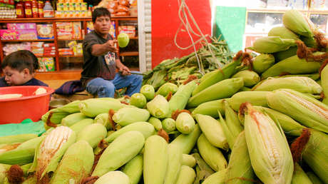Bloomberg: EE.UU. escalará su denuncia de que la política de México sobre el maíz transgénico viola el pacto comercial