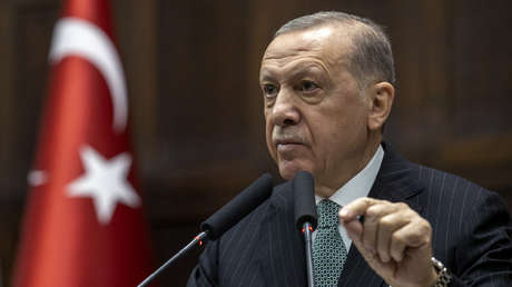 Turquía comenta una posible intervención militar en Níger