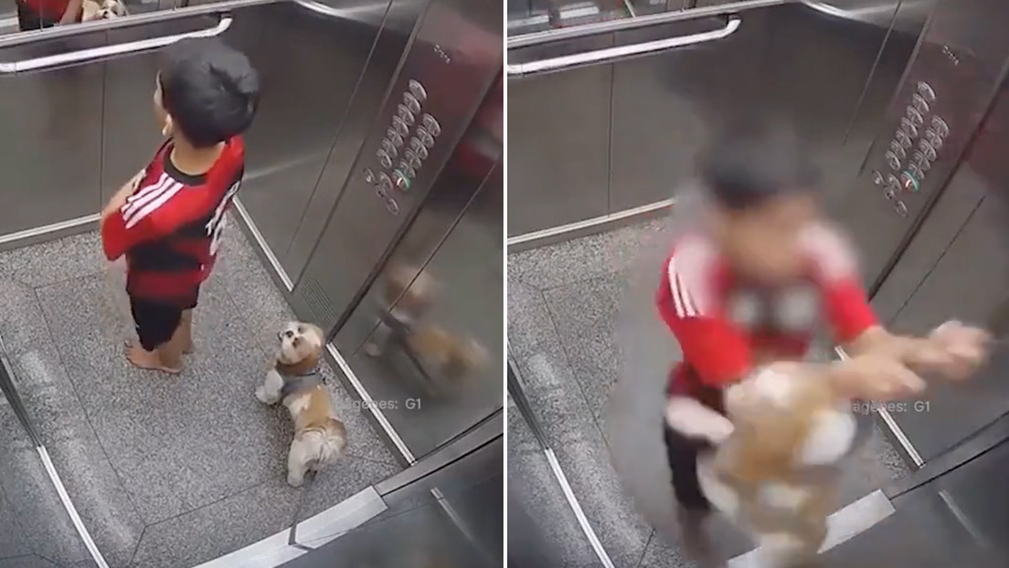 VIDEO: Un niño salva a su perro de morir ahorcado en un ascensor en Brasil