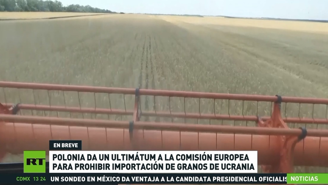 Polonia da un ultimátum a la Comisión Europea para prohibir importación de granos de Ucrania