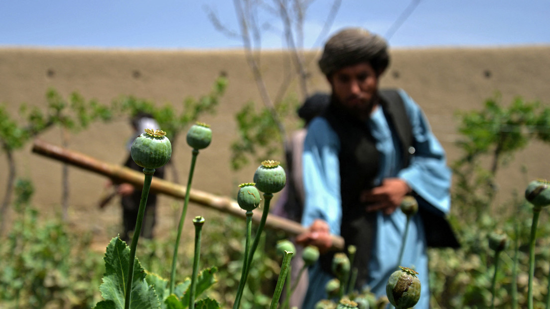 La ONU revela qué ha sustituido a la heroína en Afganistán