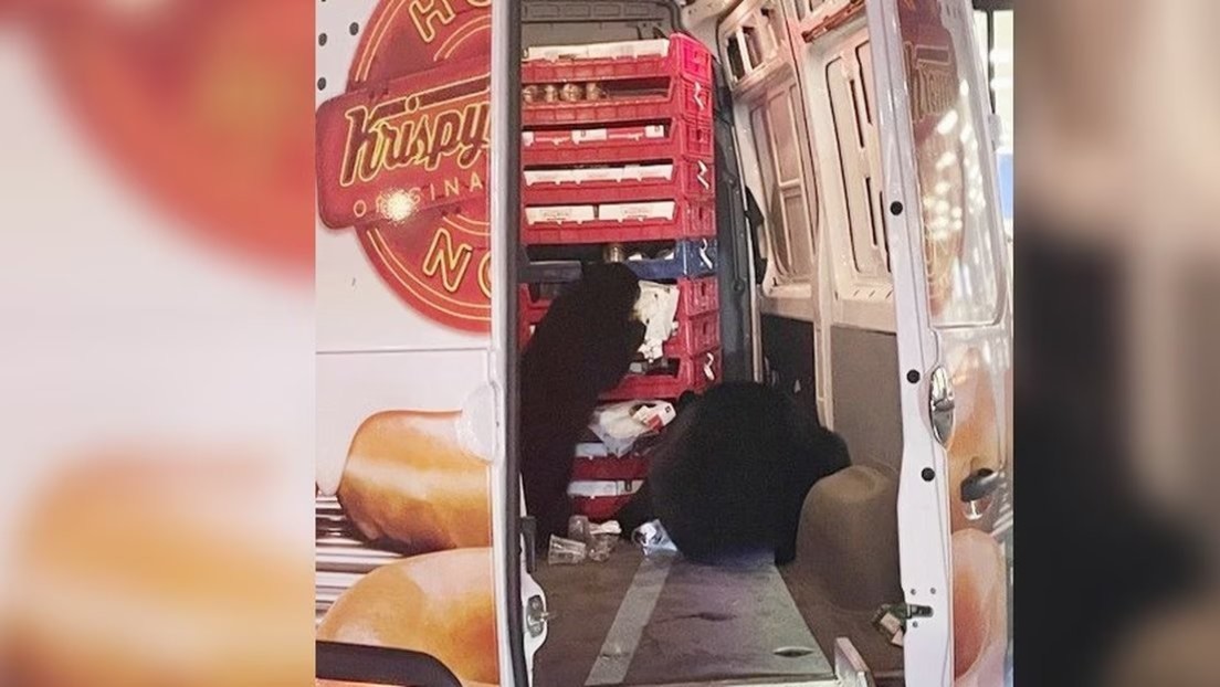 Osos 'asaltan' un camión de donas en Alaska 