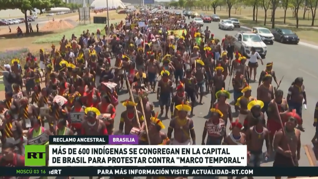Más de 600 indígenas se congregan en la capital de Brasil para protestar contra el "marco temporal"