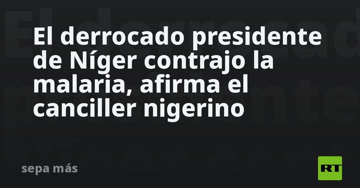 El derrocado presidente de Níger contrajo la malaria, afirma el ...