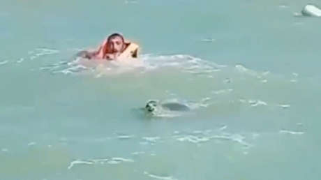 VIDEO: Una foca ataca a varias personas en una playa en Azerbaiyán